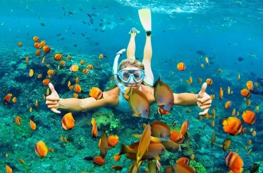 620201_ctalina-island-snorkeling-0-1.webp