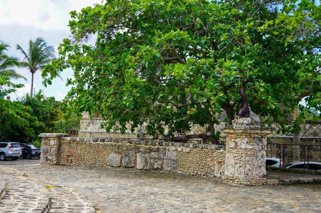 ART00036-—-kopia-—-kopia.jpg