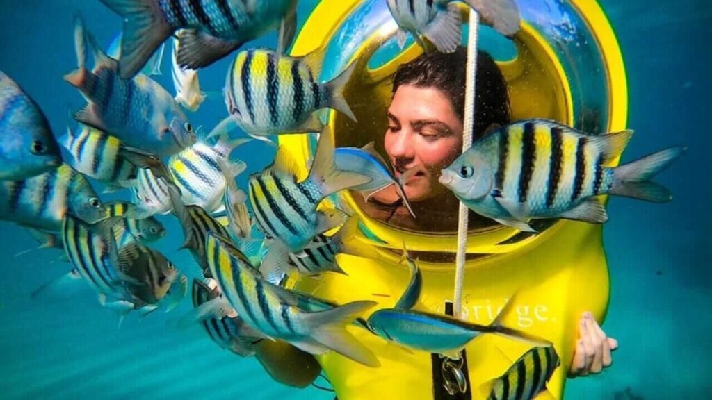Scuba-Doo-5.jpg
