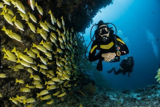 catalina-island-scuba-diving.jpg