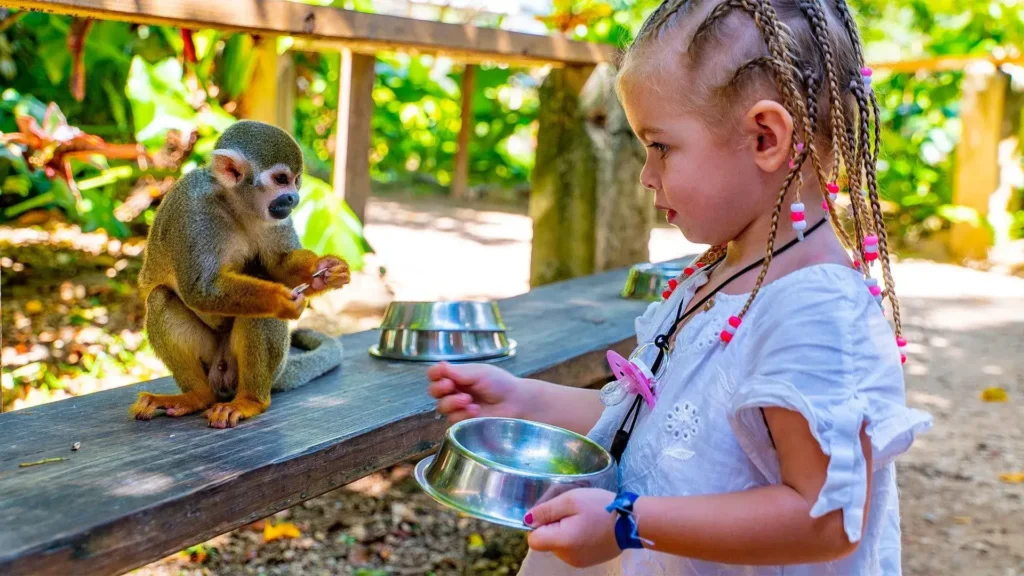 monkeyland-4663.webp