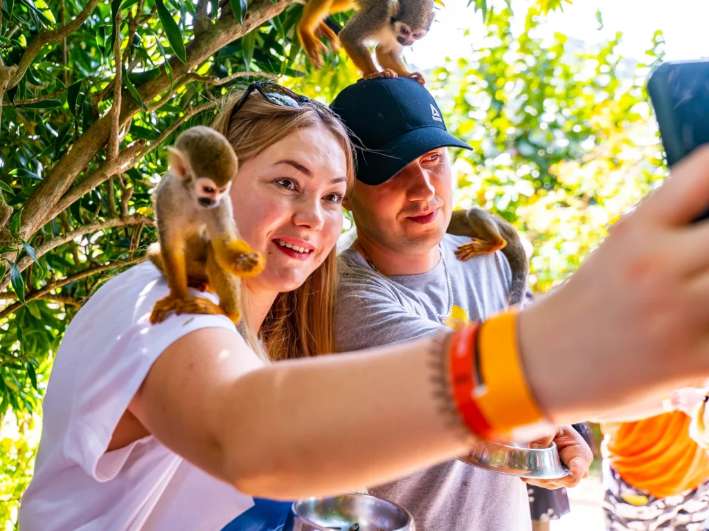 monkeyland-safari-3.webp