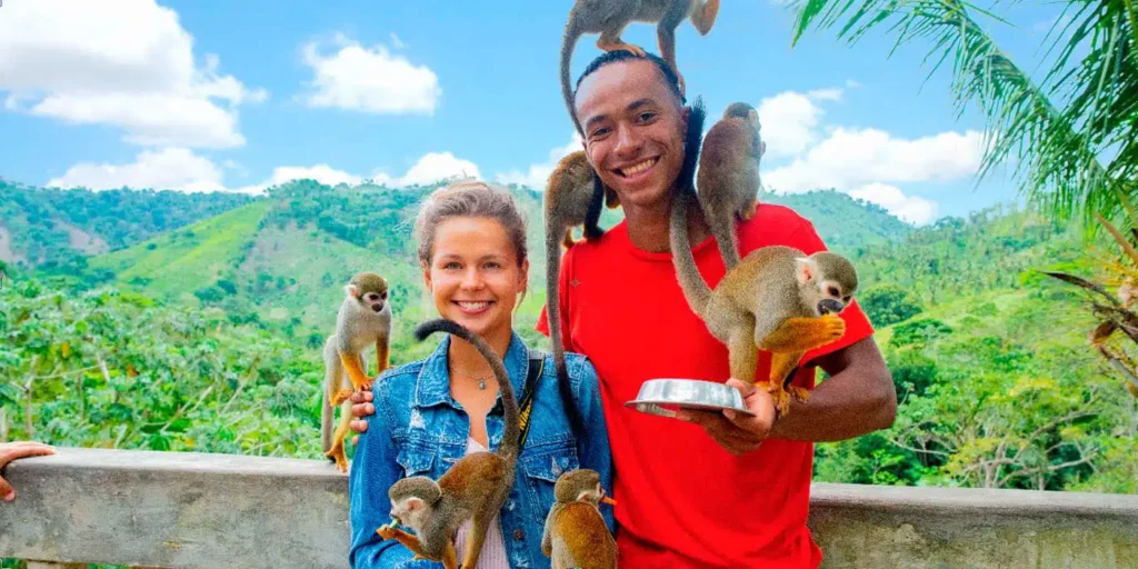 monkeyland_12.webp