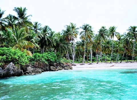 photo12-480x350-1.webp