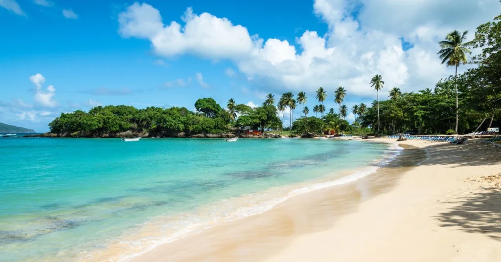 playa-rincon-1-1.webp