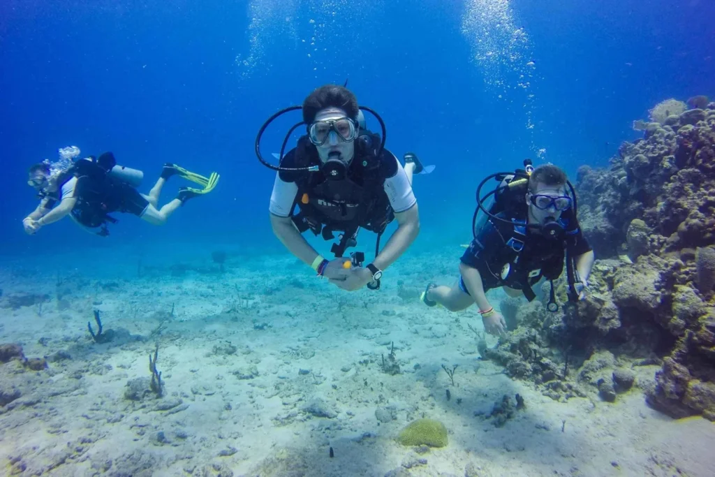 punta-cana-scuba-diving-adventure-to-catalina-island-7283905.webp