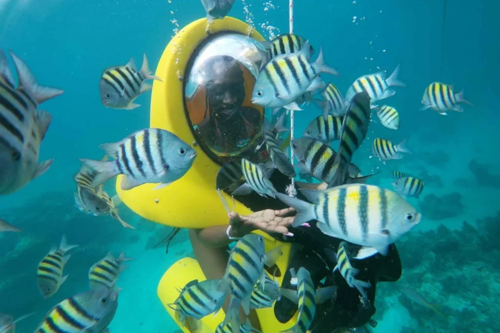punta-cana-scubadoo-ocean-exploration-diving-adventure-1104391.webp