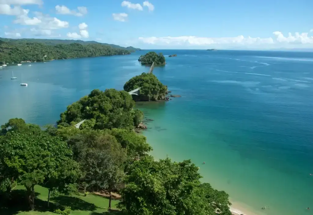 samana-zdj196153cia-na-www-5-1024x704-1.webp