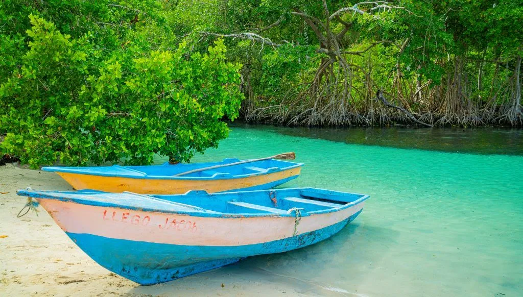 tour-a-playas-samana.webp